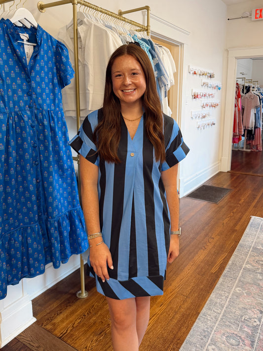 Tyndale Blue Stripe Dress